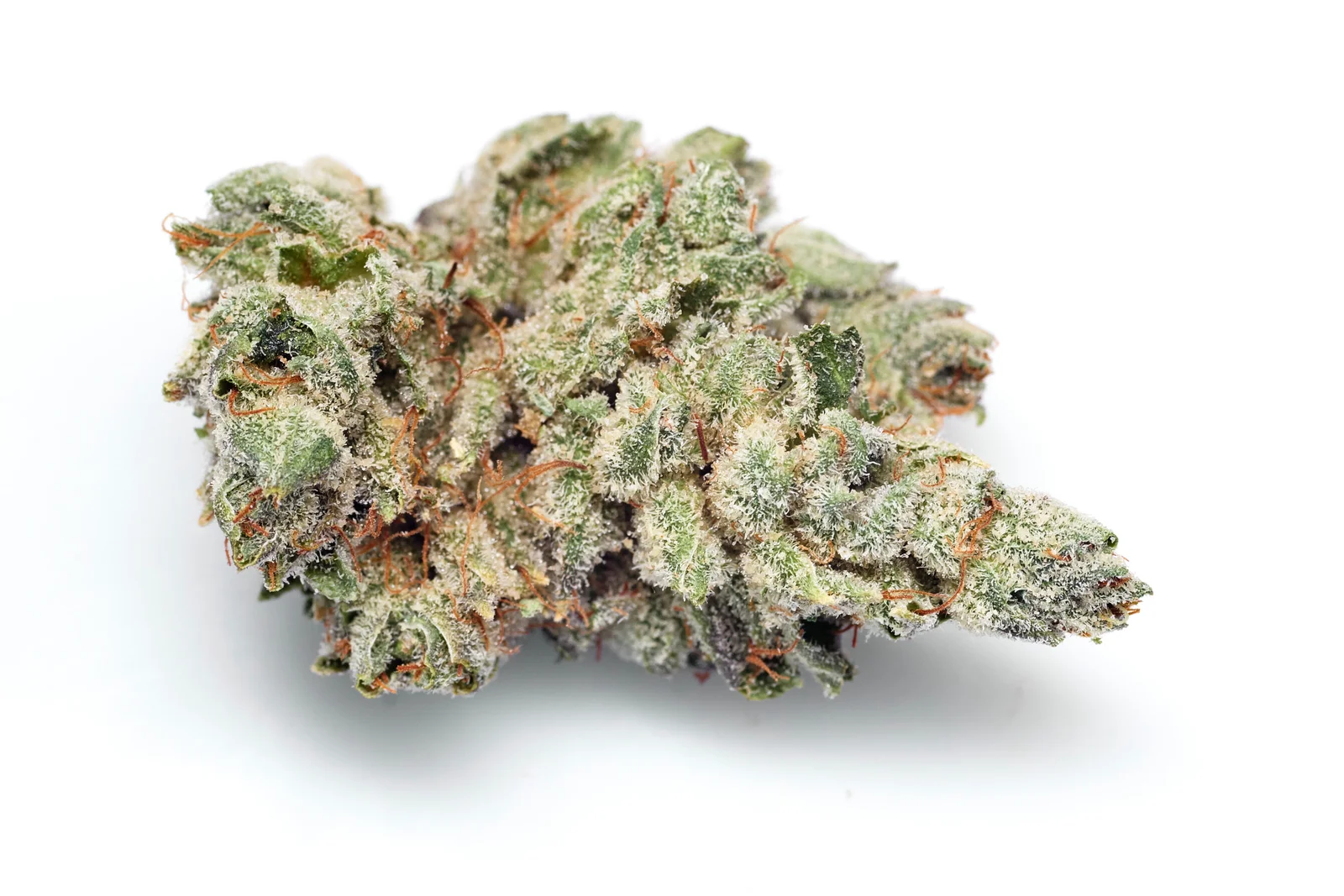 floridas phinest cannabis photography 15