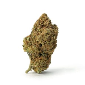 high thca sex panther bud 1 scaled 1.jpg