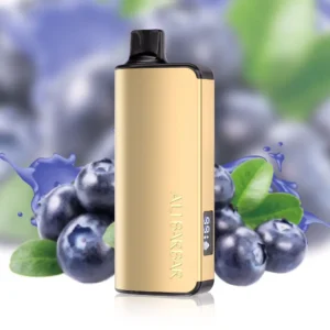 imgi 16 alibarbar ingot 9000 puffs blueberry mint.webp